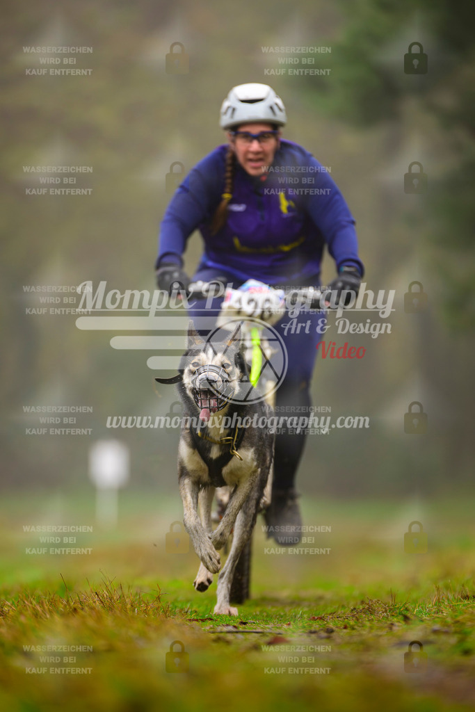 MompixPhotography_Bischwiller2025_Bike-62 | mompixphotography
