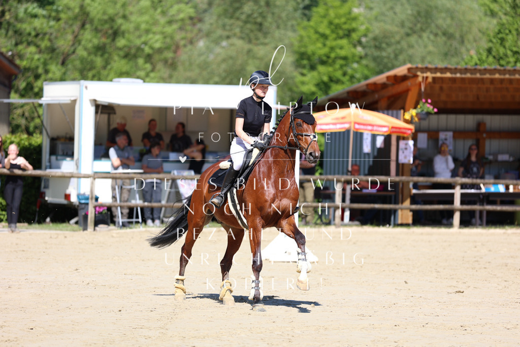 IMGS7310 | pl-fotografie