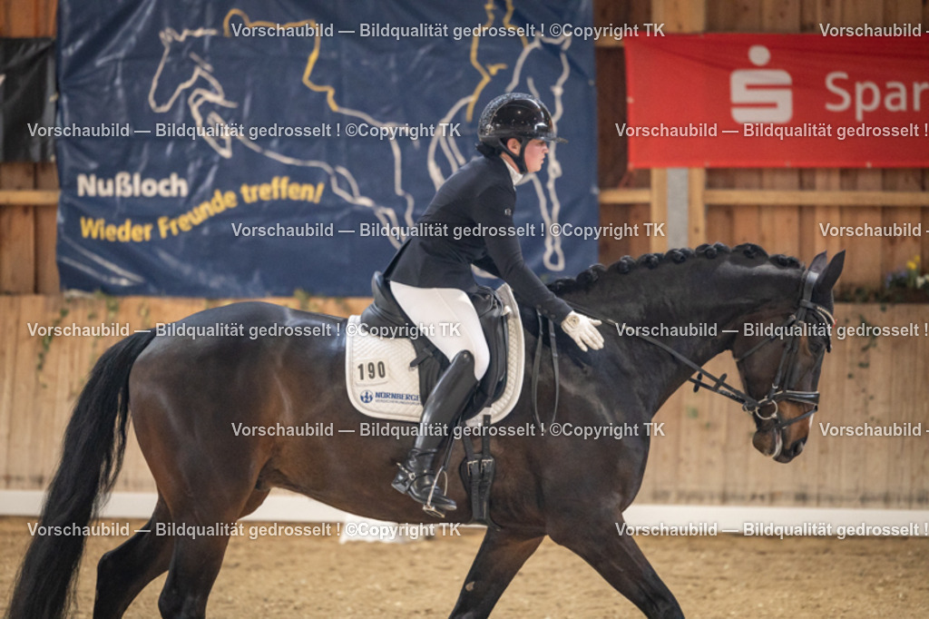 _D5A8752 | Emotionale Pferde- & People-Fotografie rund um Heidelberg, Leimen & Umgebung. Natürliche Fotos von Pferd, Mensch & Familie. Jetzt Termin sichern!