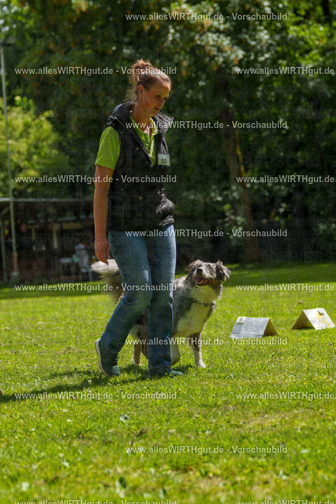 @allesWIRTHgut_Tierfotografie - www.allesWIRTHgut.de - 7R505878 | Professionelle Tierfotografie in Mönchengladbach von Daniel Wirth (allesWIRTHgut). Liebevolle & natürliche Bilder von Hunden & Katzen für unvergessliche Erinnerungen.