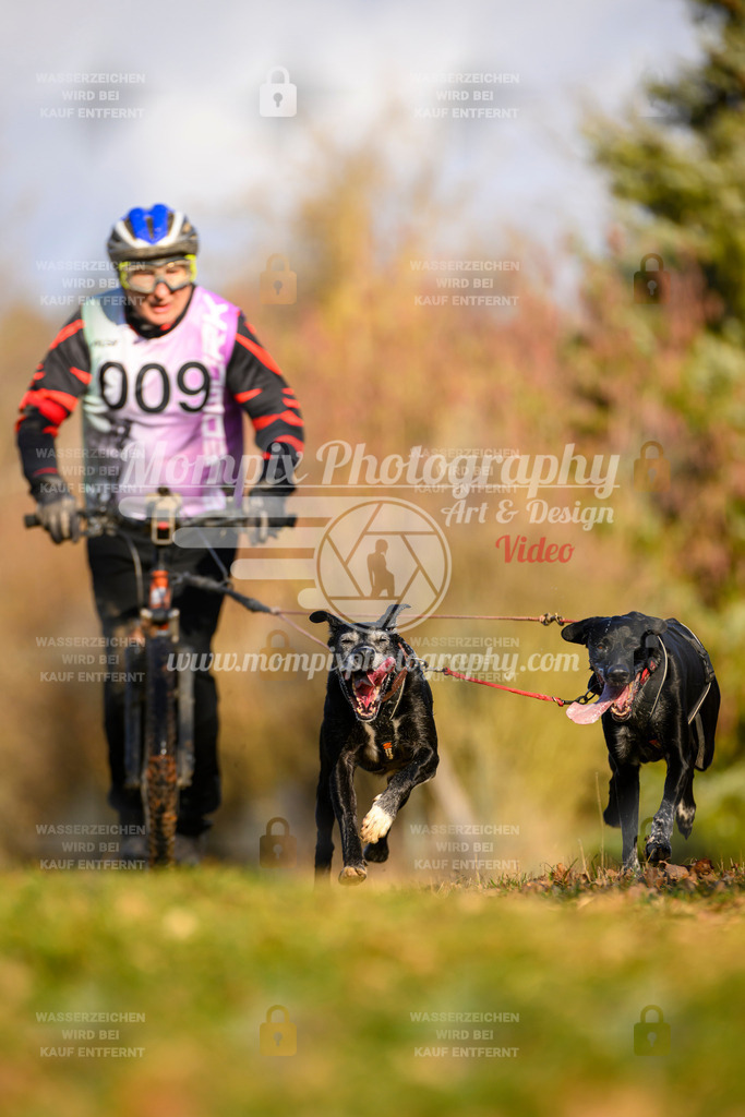 MompixPhotography_10Schwabentrail2026_SO_Scooter-21 | PayLife