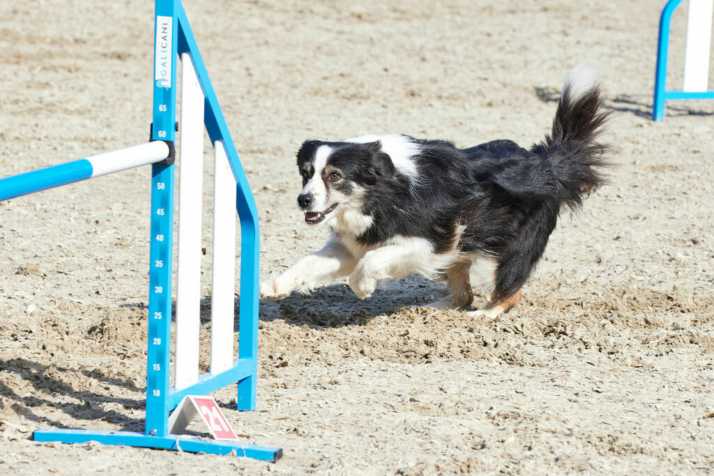 580A0072 | Peter Fridle Fotografie - Realisiert mit Pictrs.com