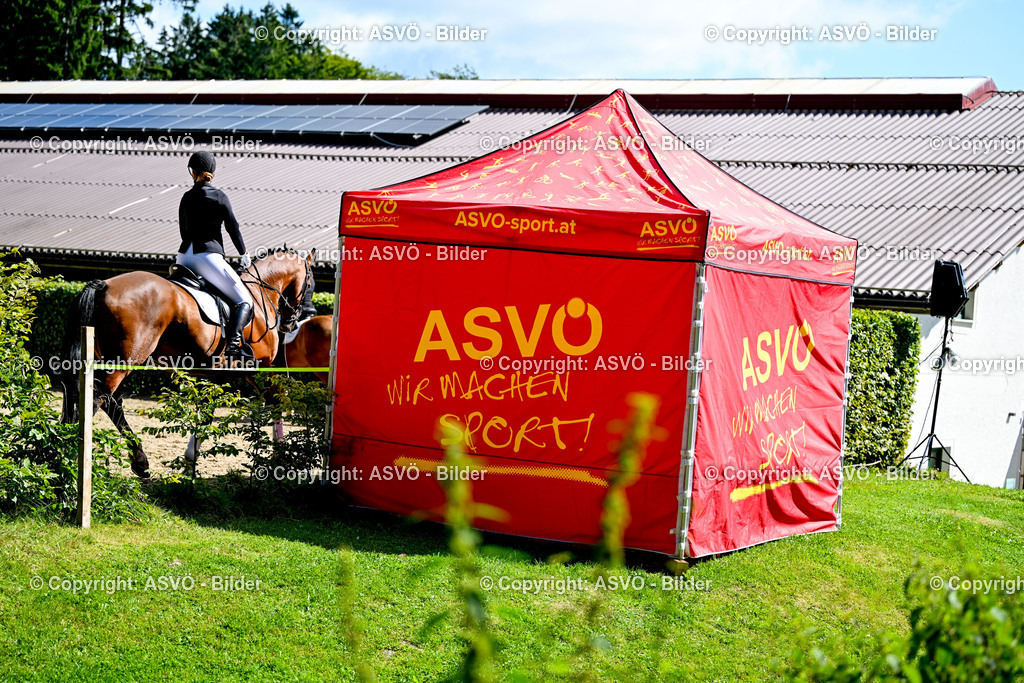 ASVÖ_ Reiten Bezirksmeisterschaft_ 24.08.2025-40 | 24.08.2025, AUT, ASVÖ, Reiten Bezirksmeisterschaft 2025Dressur und Springreiten©fodo.media / Harald Dostal - Realisiert mit Pictrs.com