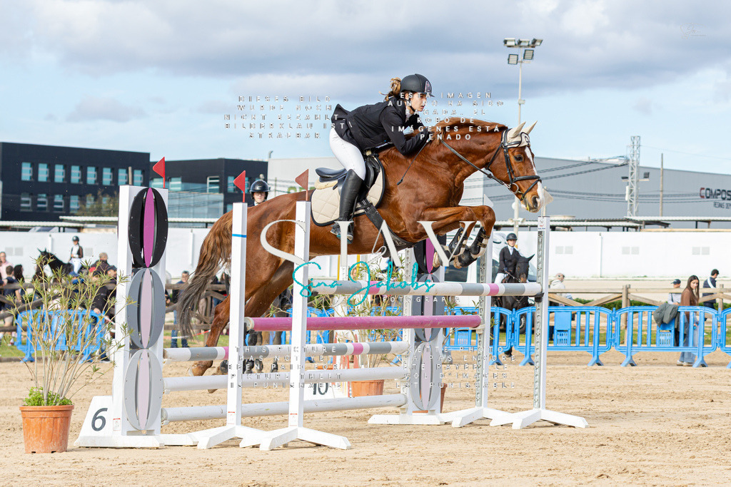 IMG_3330 | s-jay-photography - Realisiert mit Pictrs.com