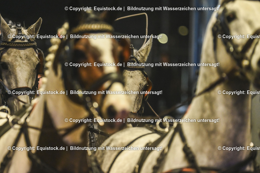 20241115_Fahren-iWest_TOMsPiC_0484 | Foto: Thomas Hartig