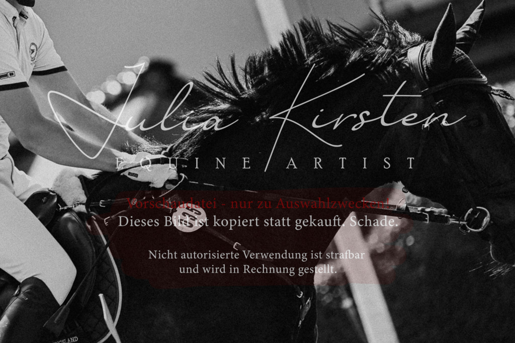 DSC_0342 | Pferde- und Turnierfotografie in Westsachsen. Pferdeportraits, Auftragszeichnungen und intuitive Kunst.