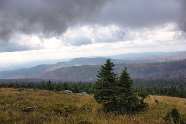 Brocken | rustikales Wetter auf dem Brocken