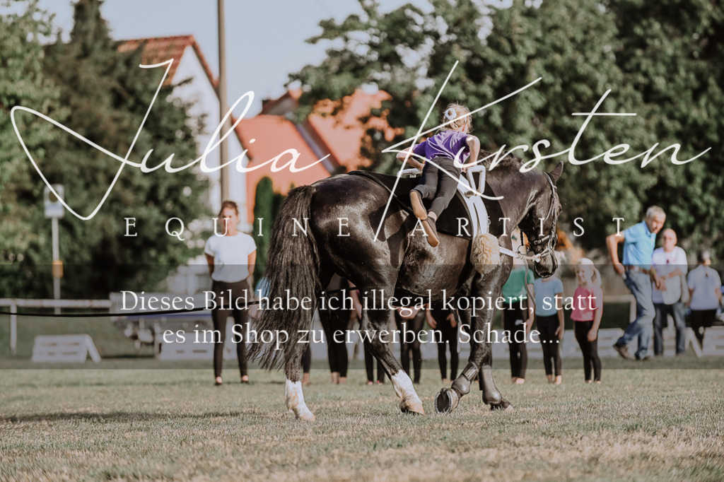 DSC_9876 | Pferde- und Turnierfotografie in Westsachsen. Pferdeportraits, Auftragszeichnungen und intuitive Kunst.