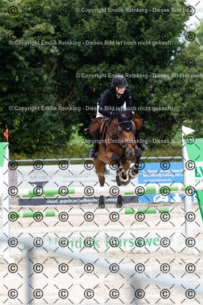 CL5A2289 | Emilia Reinking Fotografie - Realisiert mit Pictrs.com