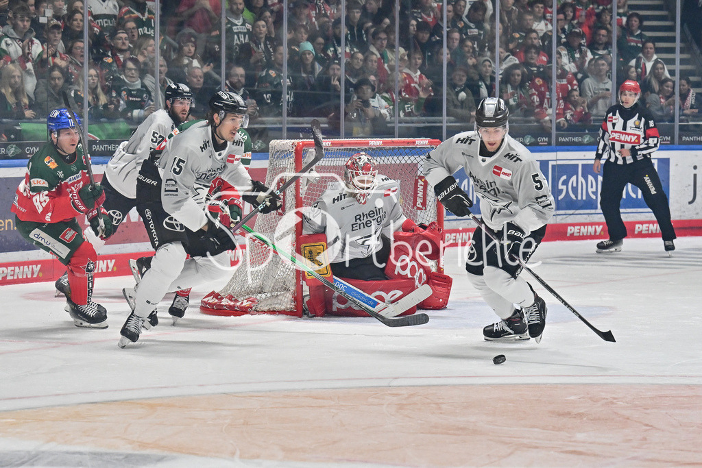 Augsburger Panther - Kölner Haie | Robin Van CALSTER (Koelner Haie #5) kann in letzter Sekunde vor dem eignen Tor klaeren / DEL: Augsburger Panther - Kölner Haie, Curt Frenzel Stadion am 29.09.2024