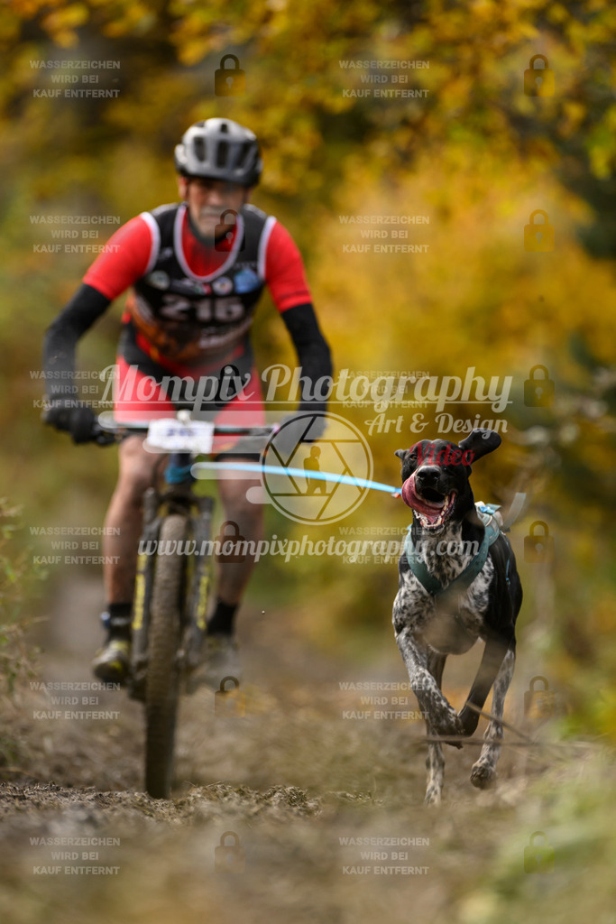 MompixPhotography_ICF_WC_2024_SA_Bike_-352 | PayLife