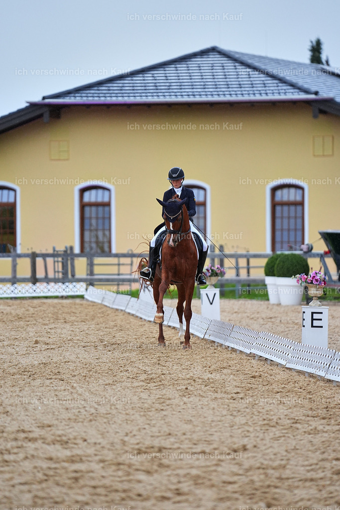 8_1-223-Klasse S_  -Marixx-4300 | working equitationturnier fotograf videograf stoibphotography marixx film working equitation deutschland reitsport turnierfotografie eventfotografie equestrian events