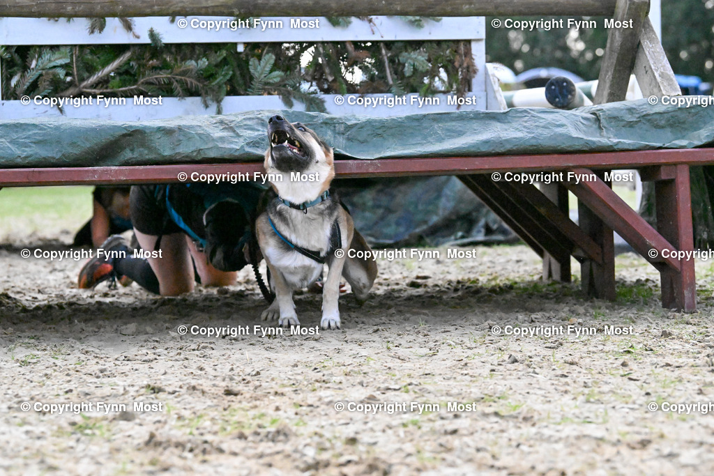 DSC_5008 | Hallo und herzlich Willkommen auf meiner Shop-Seite Fynn Most.

Ich wünsche Dir viel Spaß beim stöbern durch die Bilder, wenn Du Fragen hast oder Bilder vermisst, kannst du mir gerne eine Nachricht schreiben. - Realisiert mit Pictrs.com