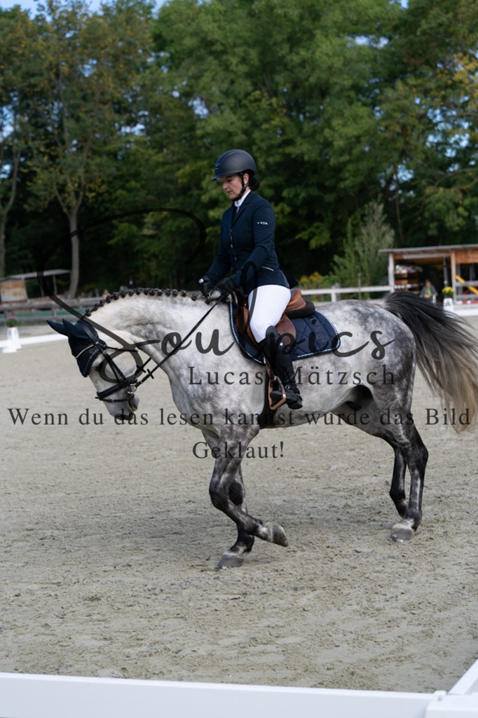 A7V06848 | Turnier/Reitfotograf