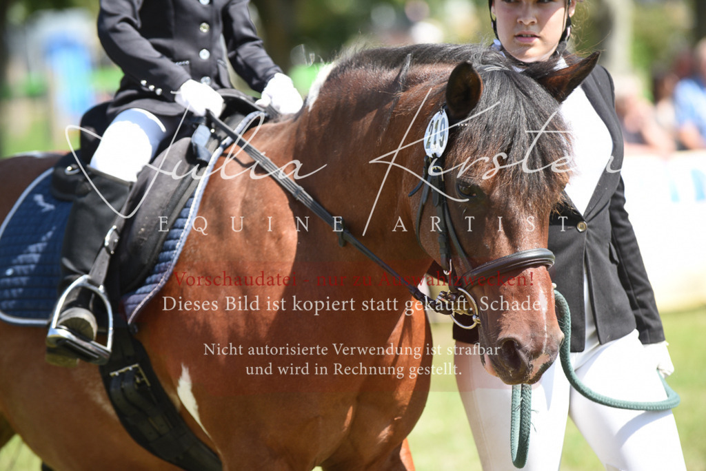 DSC_9768 | Pferde- und Turnierfotografie in Westsachsen. Pferdeportraits, Auftragszeichnungen und intuitive Kunst.