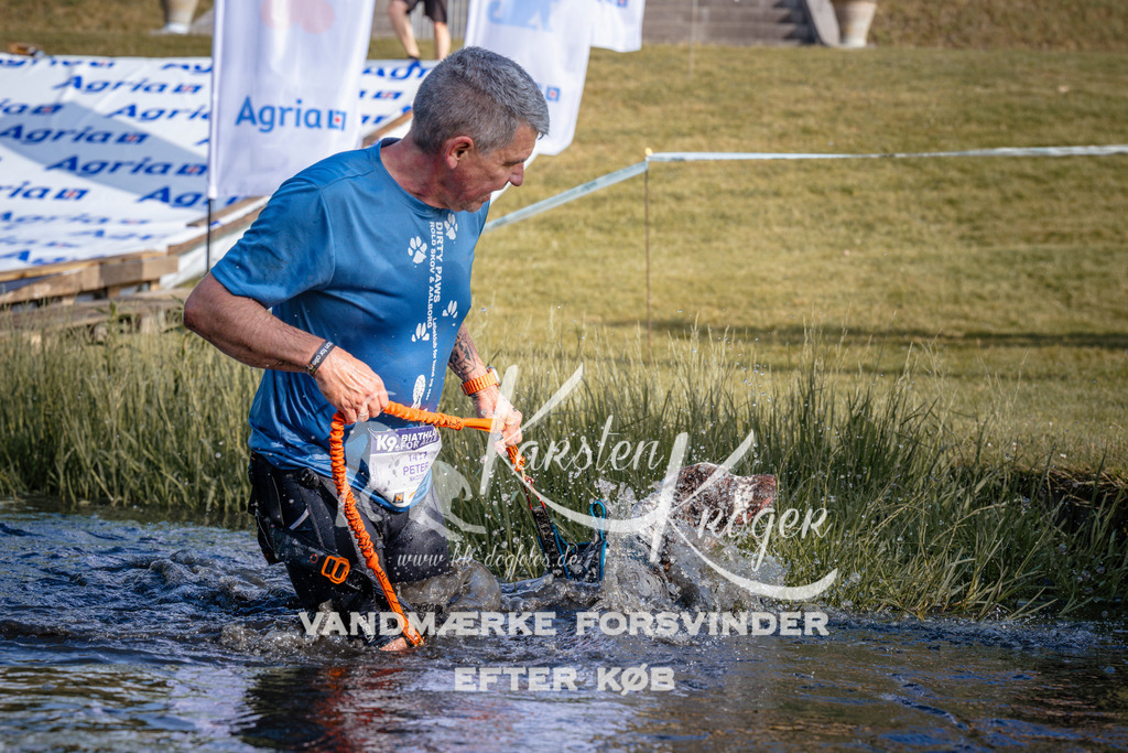 _ZZ951290723 | kk-dogfotos