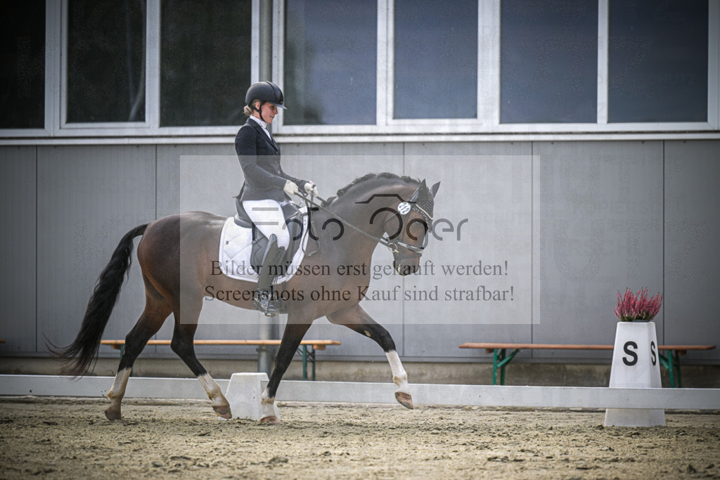 DOS_0956 | Entdecke hochwertige Reitturnierfotos von Foto Oger. Professionell, emotional und authentisch – jetzt Lieblingsmomente im Shop bestellen.Deutschlandweite Turnierfotografie. - Realisiert mit Pictrs.com