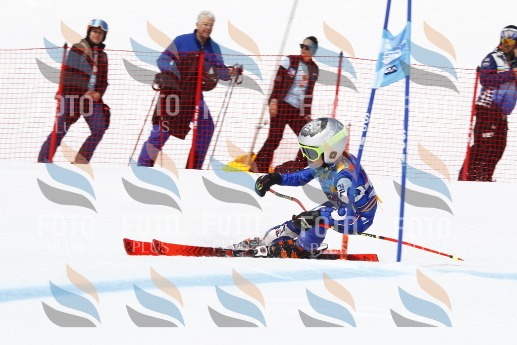 _U3G5606 | holidayphoto