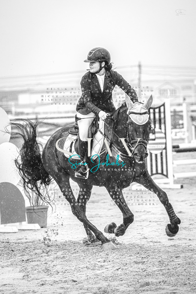 IMG_1867-Verbessert-RR | s-jay-photography - Realisiert mit Pictrs.com