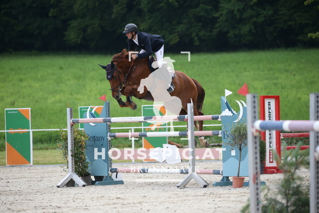 DL2Q2889 | Willkommen bei Brunnmayr - Design & Fotografie – Ihrem Spezialisten für Reitturniere und Pferdeveranstaltungen in Oberösterreich, Salzburg und Bayern! Seit über 17 Jahren sind wir leidenschaftlich dabei.