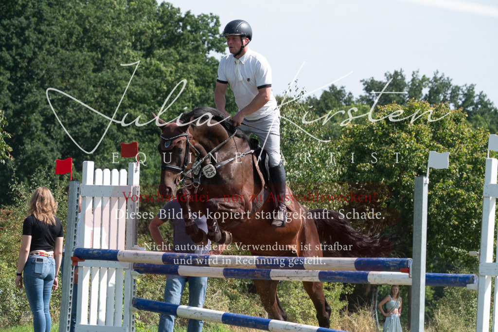 DSC_0830 | Pferde- und Turnierfotografie in Westsachsen. Pferdeportraits, Auftragszeichnungen und intuitive Kunst.
