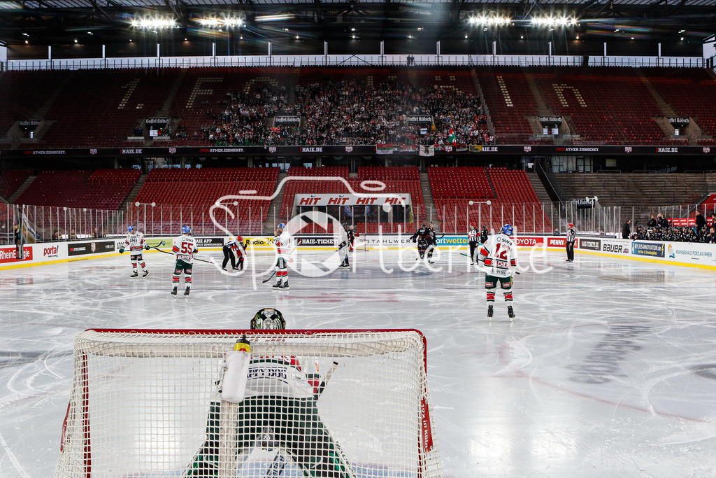 Kölner Haie - Augsburger Panther | Dennis ENDRAS (AEV #44) im Tor der Panther / im Hintergrund die mitgereisten Fans aus Augsburg