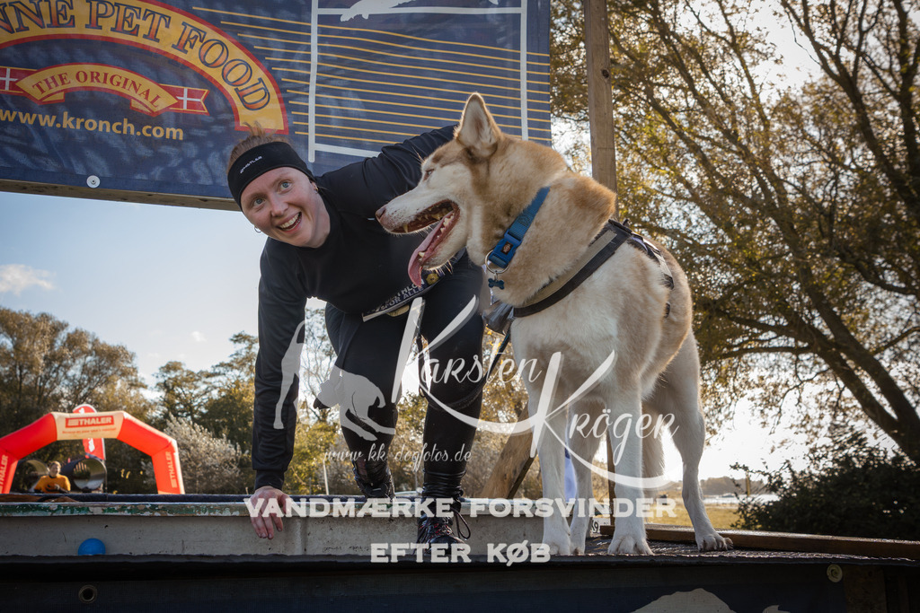 1229_ZZ96657-2 | kk-dogfotos