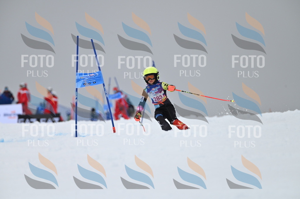 AGV_5996 | holidayphoto