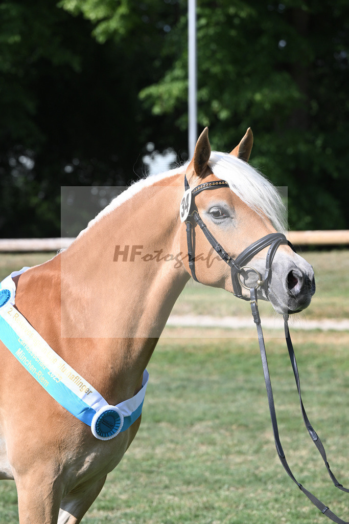 Kat-Nr. 34 Heikena-Gold_Karrer_20231891 | hf-fotografie - Realisiert mit Pictrs.com