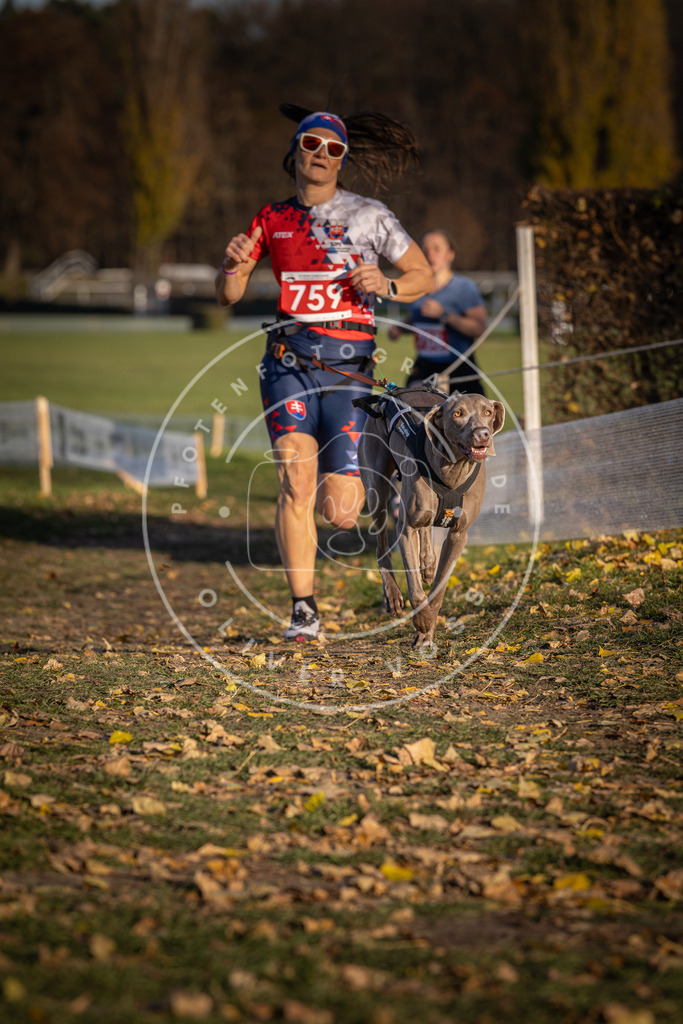 CaniXpix_DV3A2615 | Hundefotografie, Tierfotograf, Pfotenfotografie, Fotoshooting Hund, Hunde Portrait, Hundesport, Hundeportraits, Heideshooting, Hunde, Sportfotograf, Hundefotograf, Turnierhundsport, THS,  - Realisiert mit Pictrs.com