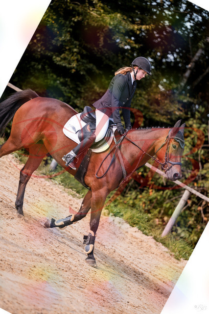 2026_10_03_Siefer-Hof_143433_Z81_02282305 | Professionelle Reitsport-, Turnier- und Eventfotografie von Robert Broda. Galerien mit ausgewählten und bearbeiteten Bildern direkt online ansehen und bestellen.