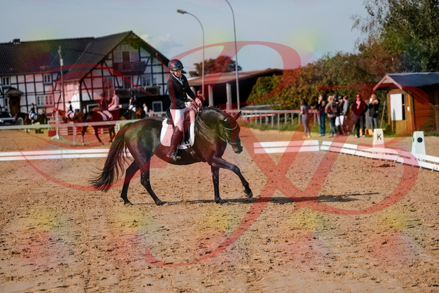 2026_10_03_Siefer-Hof_121722_Z63_41456401 | Professionelle Reitsport-, Turnier- und Eventfotografie von Robert Broda. Galerien mit ausgewählten und bearbeiteten Bildern direkt online ansehen und bestellen.