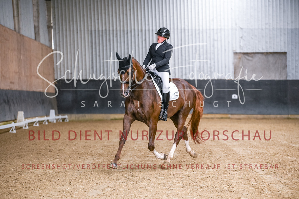 Schugtsche-Aluta25-56.Dressurprf.L1Kand.-96 | Schugtsche Fotografie - Realisiert mit Pictrs.com