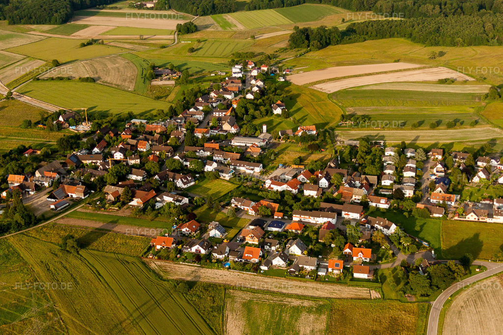 Luftbild: Ortsansicht im Ortsteil Zierolshofen in Kehl im Bundesland Baden-Württemberg in Deutschland. Foto: IMG_28904.jpg vom 14.06.2010 durch Werner Riehm/FLY-FOTO.de