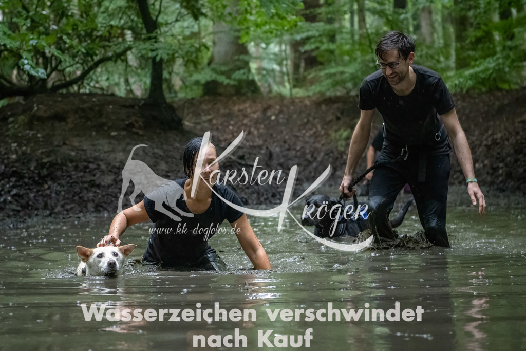 1311_ZZ91618-Bearbeitet | kk-dogfotos