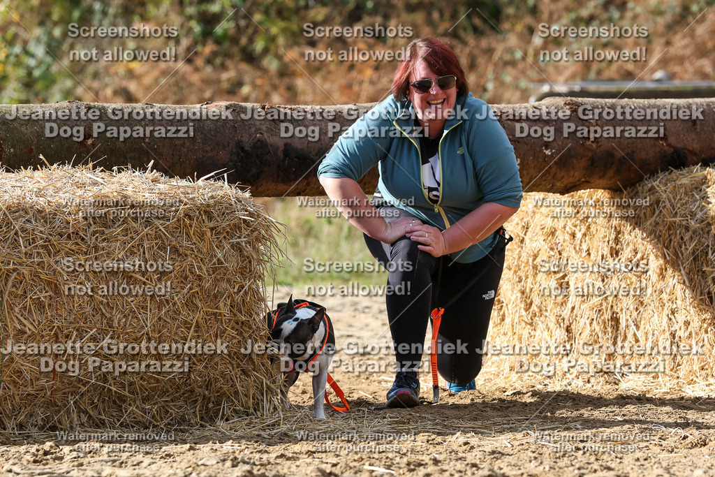 Dog Paparazzi - Strongdog 10-25-4980 | Dog Paparazzi Jeanette Grottendiek Fotografie & Videografie - Realisiert mit Pictrs.com