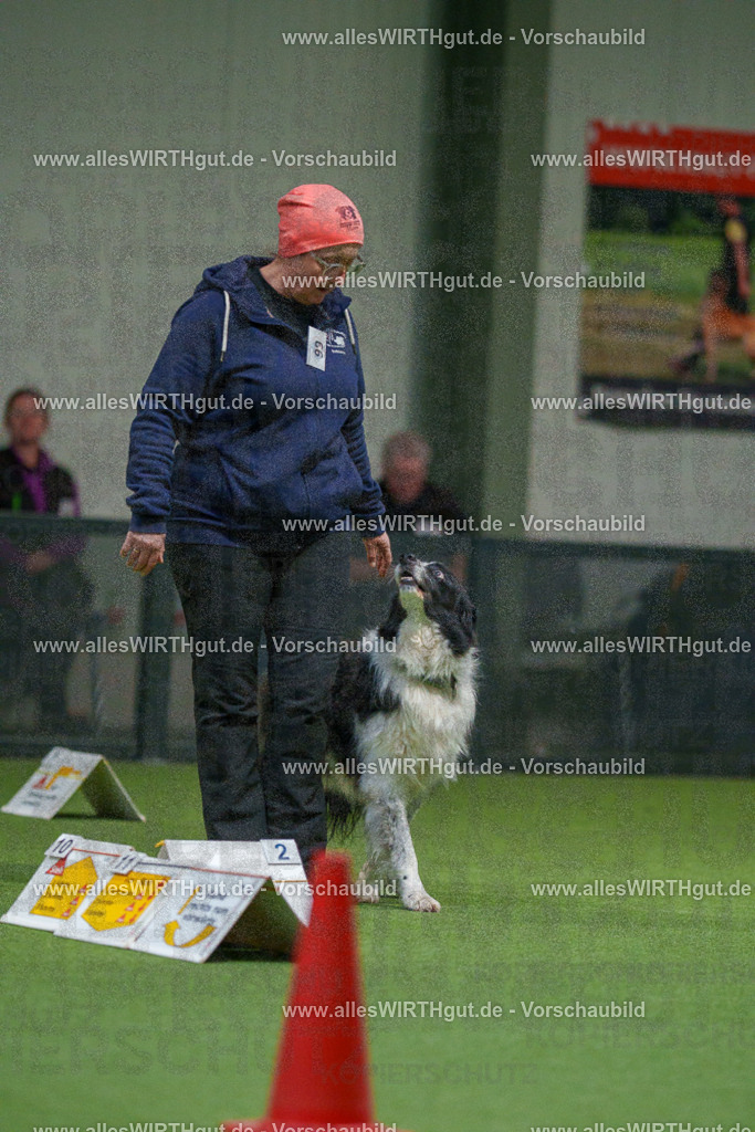 7R504544 | Professionelle Tierfotografie in Mönchengladbach von Daniel Wirth (allesWIRTHgut). Liebevolle & natürliche Bilder von Hunden & Katzen für unvergessliche Erinnerungen.