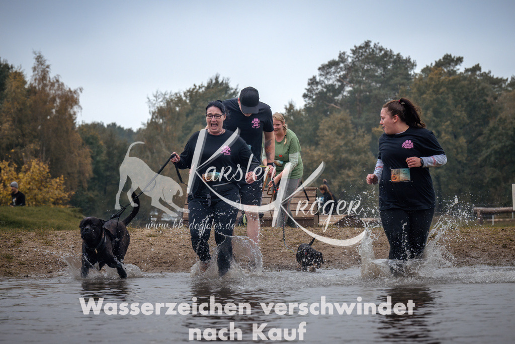 1311_ZZ93338 | kk-dogfotos