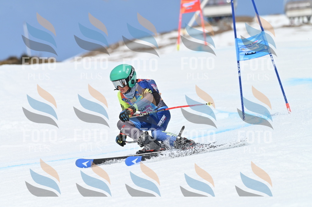 BGV_2317 | holidayphoto