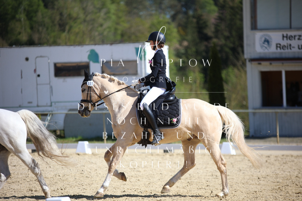 IMGT2039 | pl-fotografie