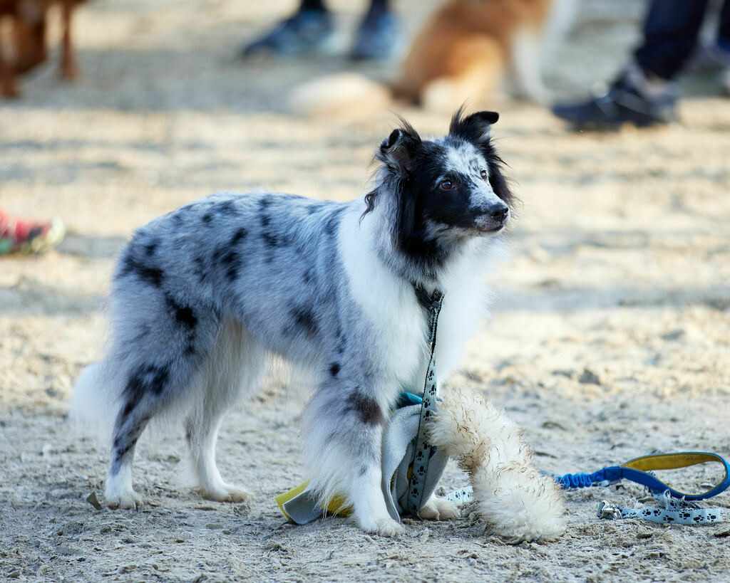 580A0028 | Peter Fridle Fotografie - Realisiert mit Pictrs.com
