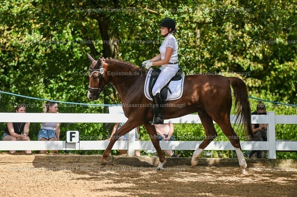 20230715_02_Dressurreiterprüfung Kl.L_0228 | equistock