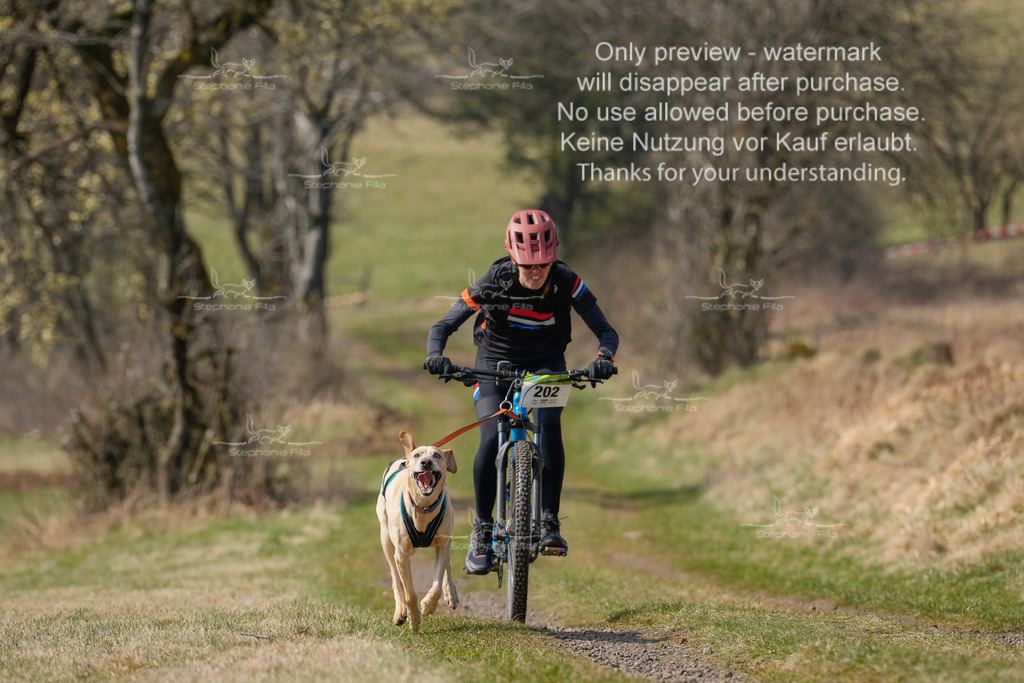 Bike_Lang-189 | stephaniefillaphotographie - Realisiert mit Pictrs.com