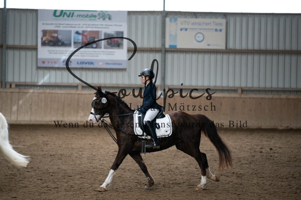 A7V04967 | Pferdefotograf