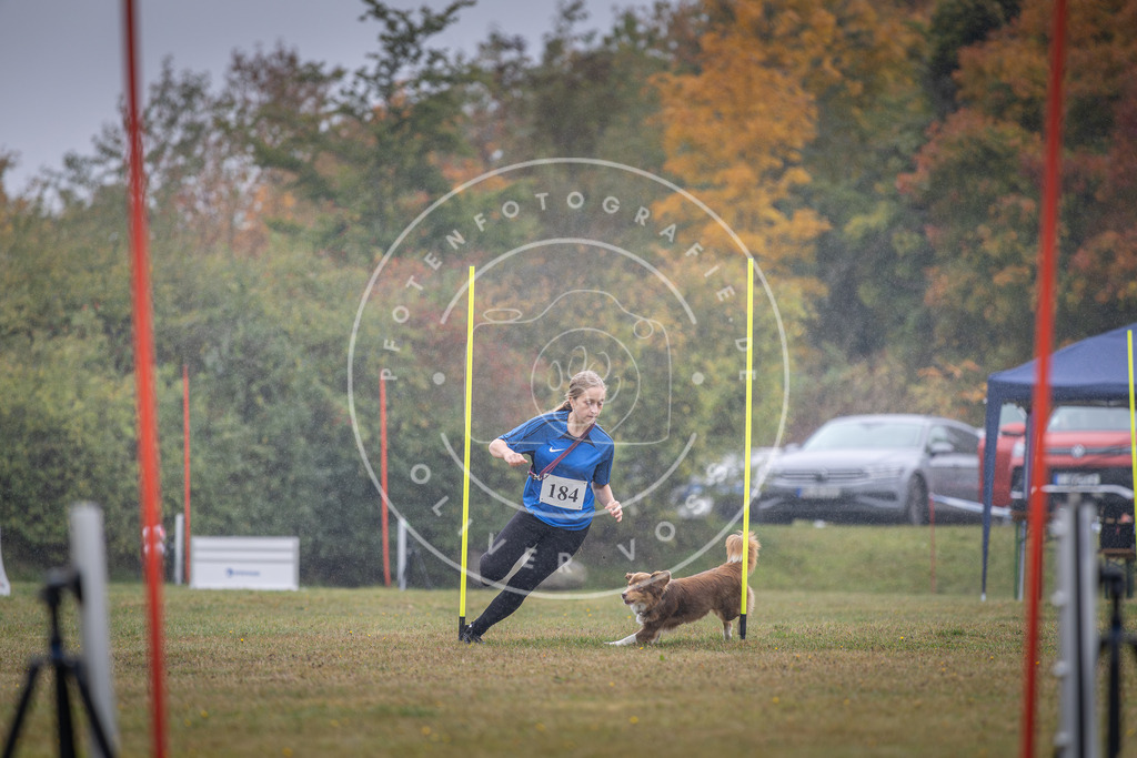 Pfotenfotografie_DV3A0028 | Hundefotografie, Tierfotograf, Pfotenfotografie, Fotoshooting Hund, Hunde Portrait, Hundesport, Hundeportraits, Heideshooting, Hunde, Sportfotograf, Hundefotograf, Turnierhundsport, THS,  - Realisiert mit Pictrs.com