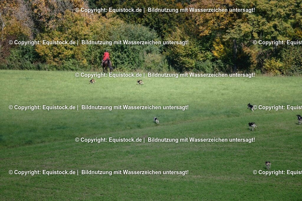 20251011_Jagd-Marbach_0243 | Foto: Thomas Hartig