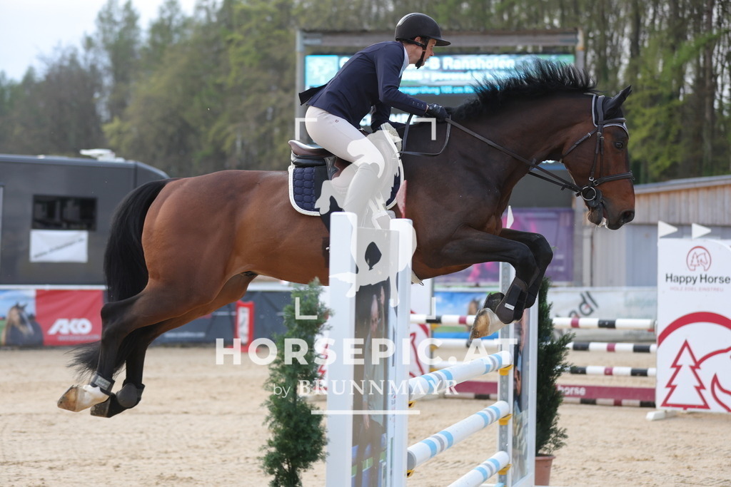 0P6A2876 | Willkommen bei Brunnmayr - Design & Fotografie – Ihrem Spezialisten für Reitturniere und Pferdeveranstaltungen in Oberösterreich, Salzburg und Bayern! Seit über 17 Jahren sind wir leidenschaftlich dabei.