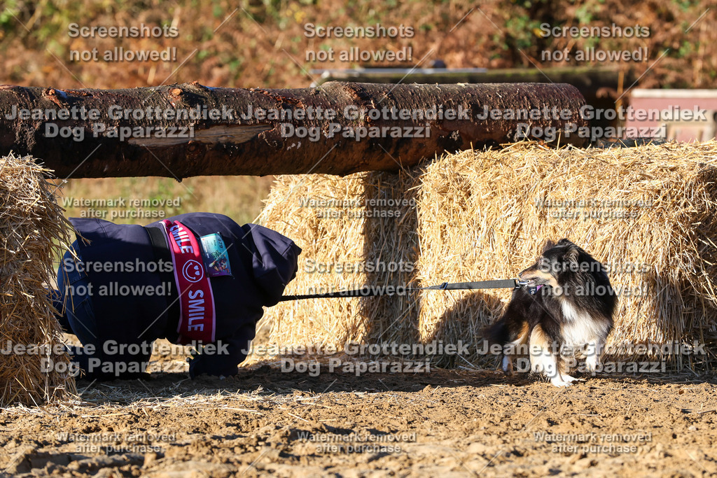 Dog Paparazzi - Strongdog 10-25-1213 | Dog Paparazzi Jeanette Grottendiek Fotografie & Videografie - Realisiert mit Pictrs.com