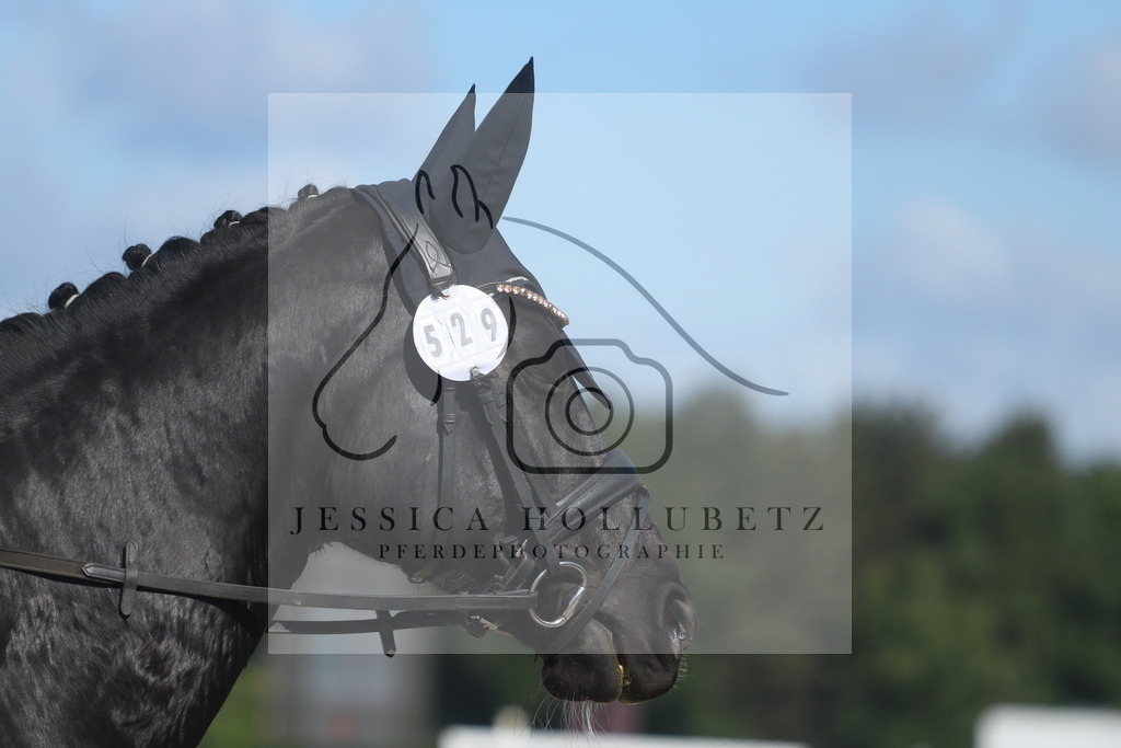 IMG_2550 | jessicahollubetz_pferdephotographie - Realisiert mit Pictrs.com