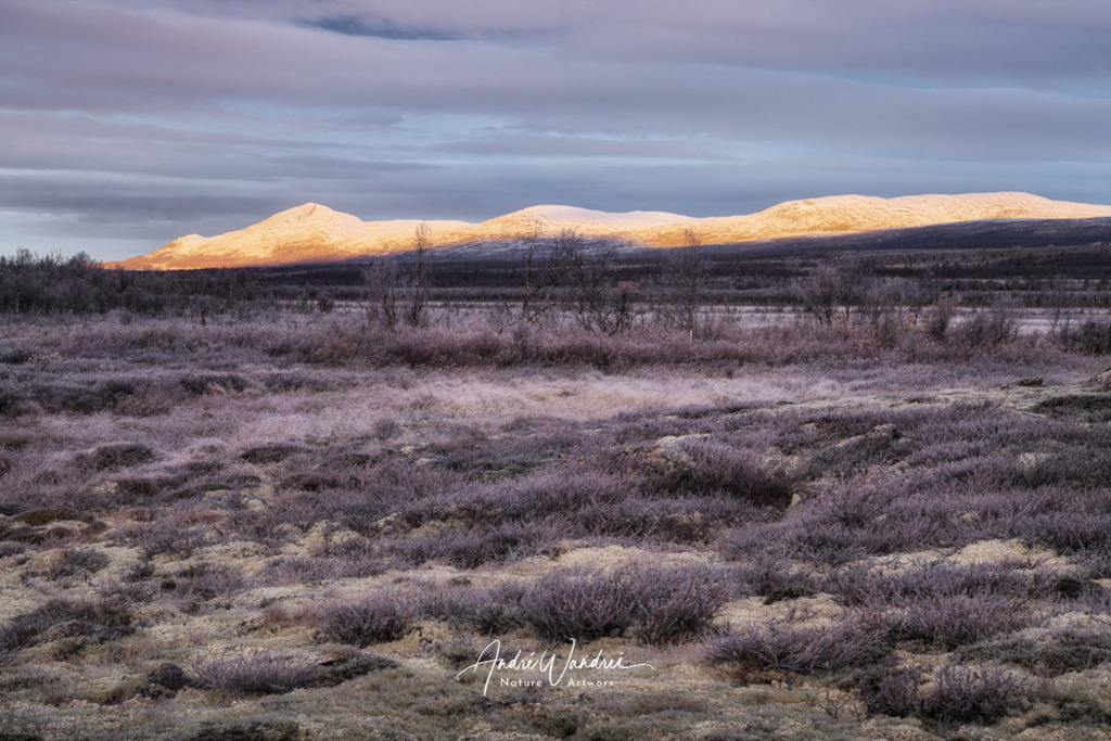 Die Weite der Tundra | Andre Wandrei - Nature Artworx - Realisiert mit Pictrs.com